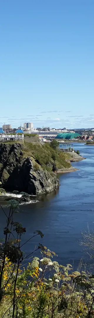 Reversing Falls Bridge, St. John
